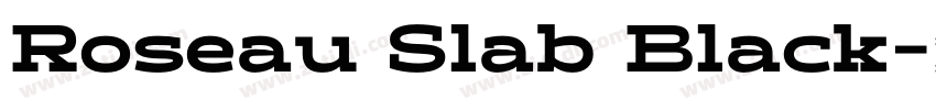 Roseau Slab Black字体转换